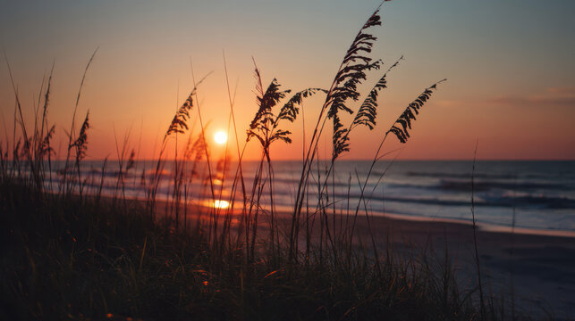 Golden sunlight streams across the ocean waves as sea oats sway gently on the dunes, creating a serene coastal landscape at sunset along the tranquil shoreline.