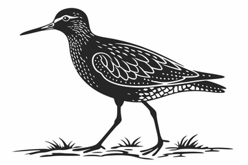 redshank sihouette black vector