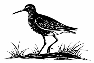 redshank sihouette black vector