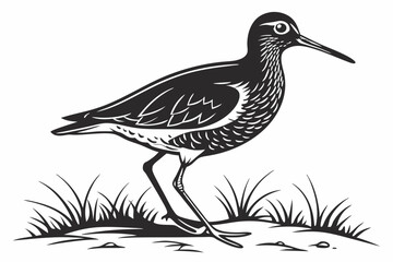 redshank sihouette black vector
