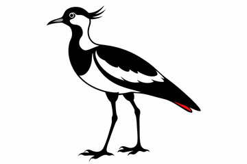 lapwing sihouette black vector