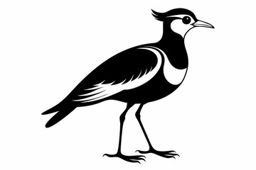 lapwing sihouette black vector
