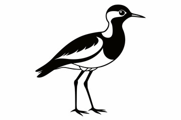 lapwing sihouette black vector