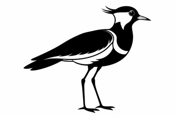 lapwing sihouette black vector