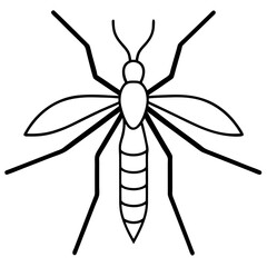 Animal Mosquito line art vector 