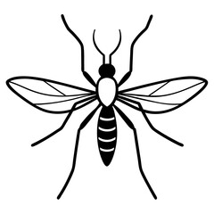 Fototapeta premium Animal Mosquito line art vector 
