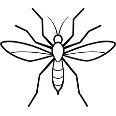 Animal Mosquito line art vector 