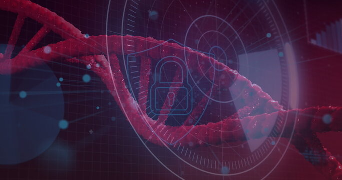 Round scanner and security padlock and shield icon against spinning dna structure
