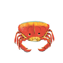 Fototapeta premium png drawing of sea ocean voyage red crab