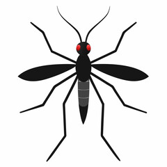 Animal Mosquito Color silhouette vector illustrator  