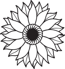 abstract sun flower vector illustration