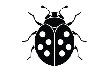 ladybird vector illustration