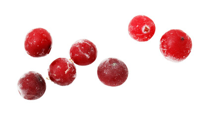 A close up of a bunch of frozen red berries