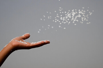Child's hand catches delicate snowflakes against a gray winter sky in a serene outdoor setting filled with snowy magic