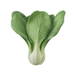 bok choy leafy vegetable PNG image on a transparent background 