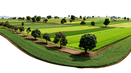 Green Landscape: A breathtaking panorama unfolds, revealing a patchwork of vibrant green fields dotted with trees. It's a testament to the beauty of nature and the agricultural landscape.