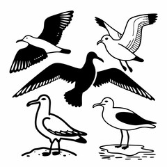 Obraz premium vector illustration of a seagull