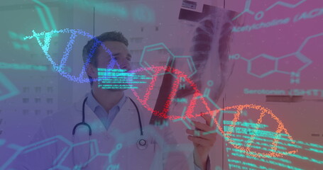 Image of data processing and dna strand spinning over caucasian male doctor