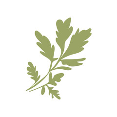 Green parsley in flat design. Seasoning food product, herb for spice. Vector illustration isolated.