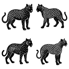 Jaguar Silhouette vector