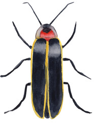 Bright watercolor illustration of a firebug insect, featuring vibrant red and black colors. Perfect for nature-inspired designs, educational projects, and wildlife art.