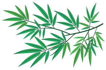 26 Vibrant green bamboo leaves, X-shaped composition, Isolated on white background, Crisp details, High contrast, Botanical illustration style, Fresh and lively, Close-up view, Zen-inspired, Minimalis