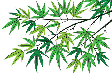 26 Vibrant green bamboo leaves, X-shaped composition, Isolated on white background, Crisp details, High contrast, Botanical illustration style, Fresh and lively, Close-up view, Zen-inspired, Minimalis