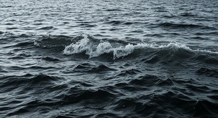 Fototapeta premium Ocean Waves Dramatic Monochromatic Seascape Photography