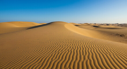 Wave Dunes of the Silent Desert