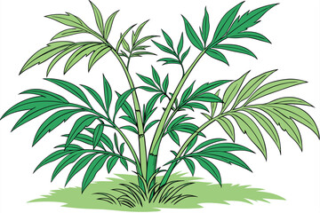 Fototapeta premium 27 Green bamboo-like plant, vibrant leafy foliage, isolated on white background, botanical illustration, sharp details, minimalist composition, organic form, tropical flora, zen garden element, photor