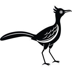 bird on a branch