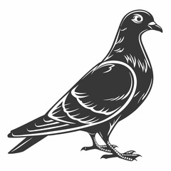 Professional Pigeon Vector Illustration - Monochrome Bird Graphic - Detailed Design.