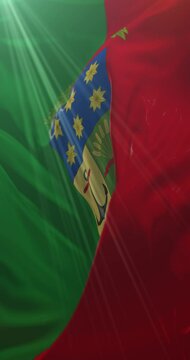 Flag of Province of Crotone, Italy. 4K Vertical. Loop