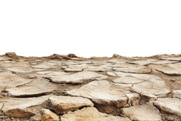 Cracked Earth Texture: A detailed, low-angle shot showcasing a vast expanse of cracked earth, revealing the parched and arid surface of a drought-stricken landscape.