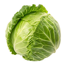 Obraz premium cabbage isolated on white background