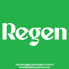 Bold decorative serif alphabet display font vector illustration