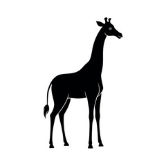 Black Vector Silhouette Giraffe Looking Back