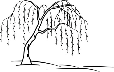 Minimalist Black And White Willow Tree Illustration With Weeping Branches On A Hill