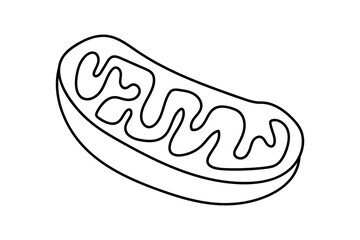 Mitochondria Cell Line Illustration - Scientific Biology Diagram in Minimal Outline Style