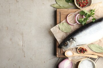 Salted herring and spices on light grey table, flat lay. Space for text