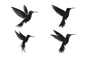 Hummingbird Silhouette Vector Art Elegant Flying Bird Clipart Collection