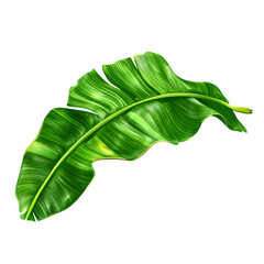 Fototapeta premium Vibrant green banana leaf on a transparent background, showcasing tropical foliage and botanical illustration for exotic summer designs