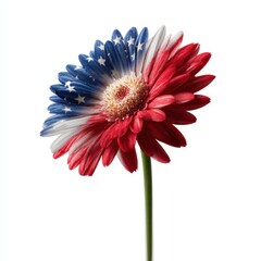 Patriotic Floral Display Red White and Blue United States of America Flower Art and Design Image