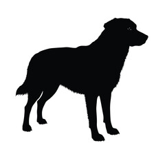 Vector black silhouette of a dog isolated on a white background.