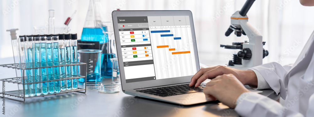 Poster project planning software for brisk business project management on the computer screen showing timel
