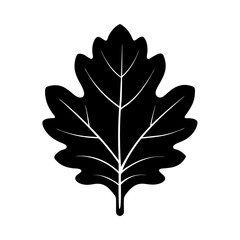 Fototapeta premium Green Palm Leaf Vector on White Background Tropical Clipart for Design & Decoration