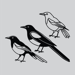DOYEL birds graphic Silhouette