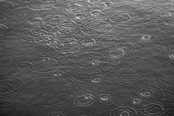 black and white background rain pattern on the lake