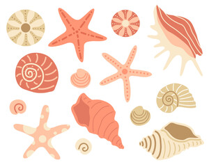 Red sea shells in flat style. Ocean underwater seashell, starfish, aquatic mollusk, sea spiral snail, sea urchin. Vector illustration on white background.