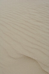 A close-up view of soft sand displaying gentle ripples and subtle textures creates a serene and minimalistic landscape, evoking feelings of calmness and the beauty of nature.